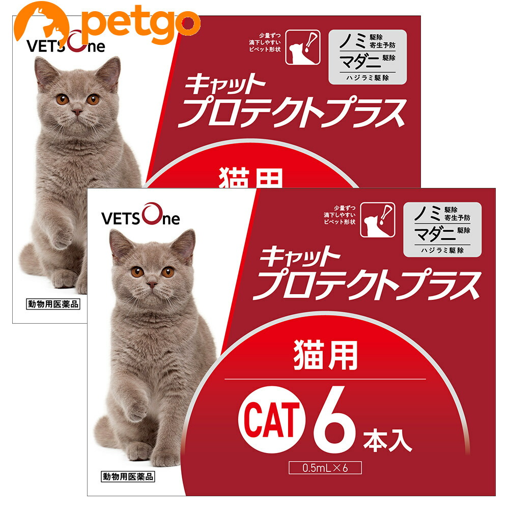 2箱セット ベッツワン キャットプロテクトプラス 猫用 6本 動物用医薬品 あす楽 フロントラインプラスのジェネリック医薬品です Clickcease Com