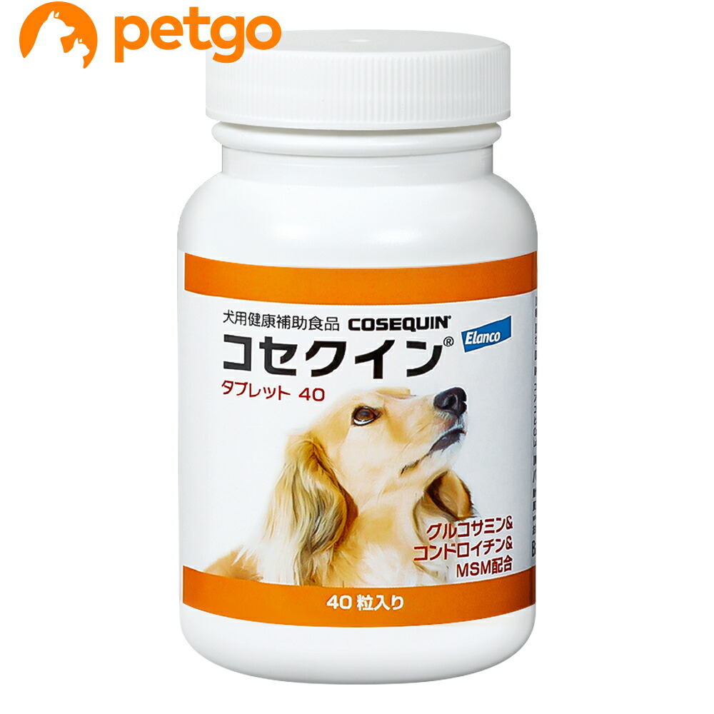 マキシガード 犬・猫用デンタルジェル 共立製薬 3本セット セット 犬用