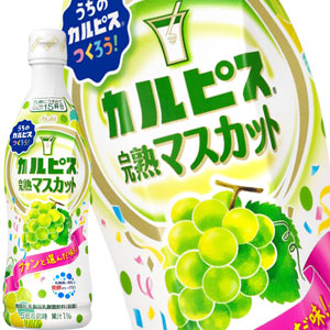 送料無料 アサヒ カルピス 完熟マスカット 希釈用 470mlpet 24本 12本 2箱 3 4営業日以内に出荷 Cdm Co Mz