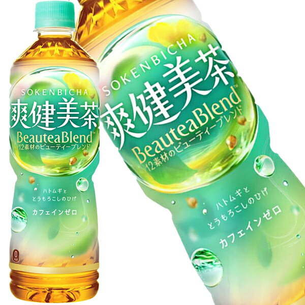 【3～4営業日以内に出荷】［代引不可］ コカコーラ 爽健美茶 600mlPET×24本×2ケース ［賞味期限：3か月以上］ 1セットまで1配送でお届けします 【送料無料】 北海道・沖縄・離島は送料無料対象外［税別］