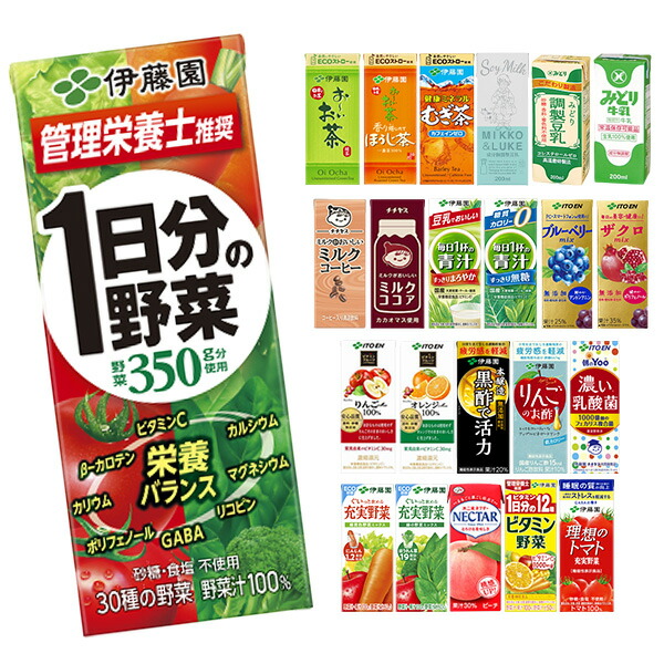 安い購入 伊藤園株主優待品12本×2セット