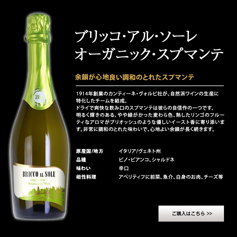 引出物 金賞入り 辛口スパークリングワイン10本セット フランス イタリア スペイン 白 辛口 発泡 常温 W 