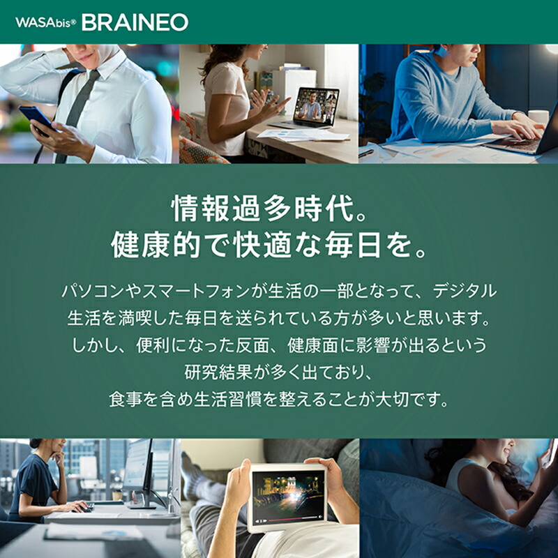 【定期購入】【公式】NOMON サプリ 帝人 完全国内生産 健康食品 スルフォラファン わさび【WASAbis BRAINEO（ワサビス ブレイネオ）】：NOMON SHOP 店