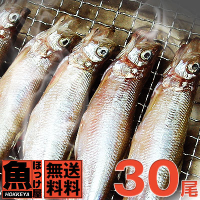 自社加工【送料無料】北海道（広尾産）ししゃもメス中サイズ20尾 オス大サイズ 10尾 （化粧箱入）<br>【本ししゃも】シシャモ　ギフト お歳暮 <br>誕生日プレゼント 内祝い 贈り物 母の日 父の日<br> 北海道本ししゃもを数量限定販売。<br>