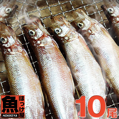 楽天市場】【送料無料】北海道（広尾産）ししゃも メス 大サイズ 40尾