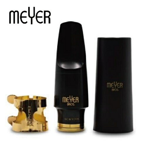 楽天市場】セオワニ アルトサックス マウスピース NY BROS 2 ハード