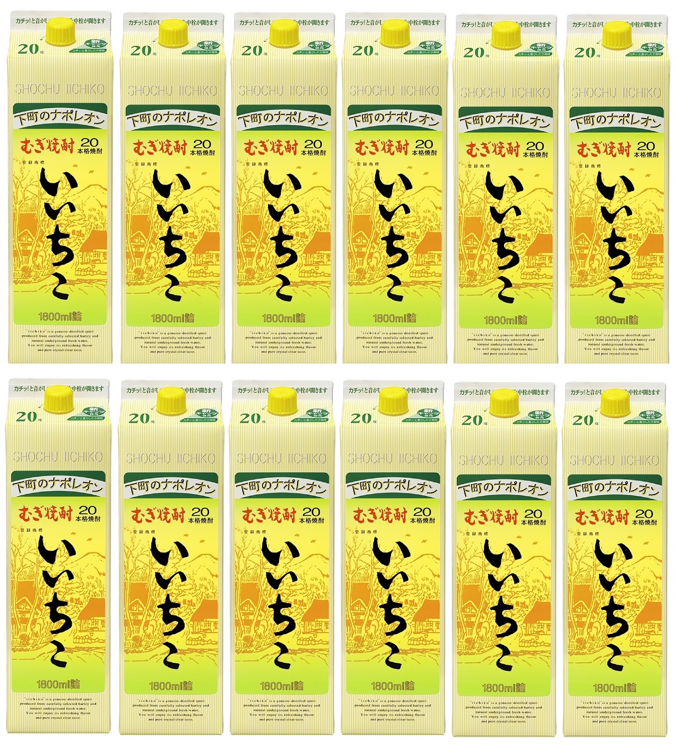 いいちこパック　25度　1800m 2ケース(12本) いいちこ25度 いいちこ 焼酎 25度 1.8L 1800ml パック 2ケース