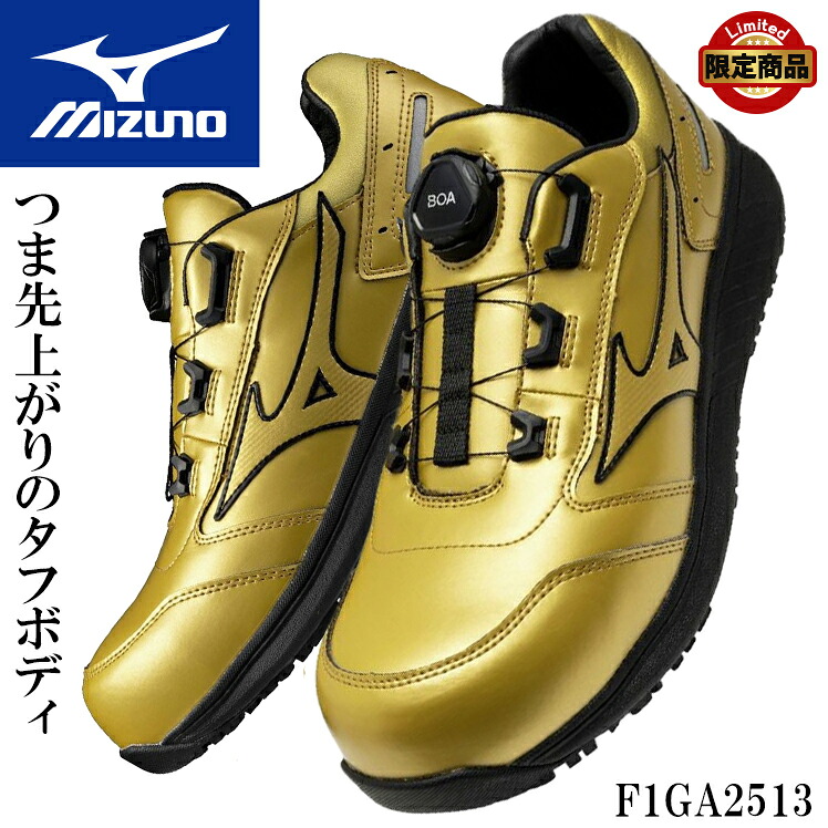 ミズノ安全性のある靴の選び方 お苦しむこと編