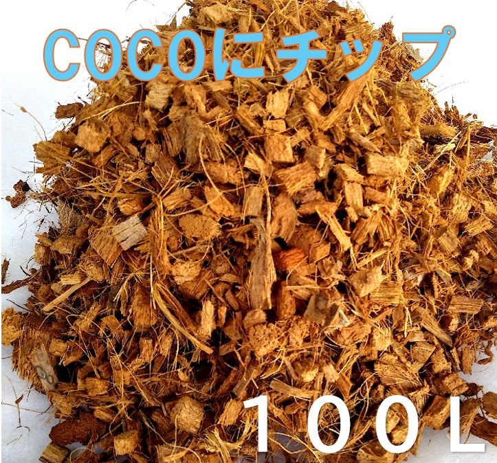 imgrc0121913493.jpg