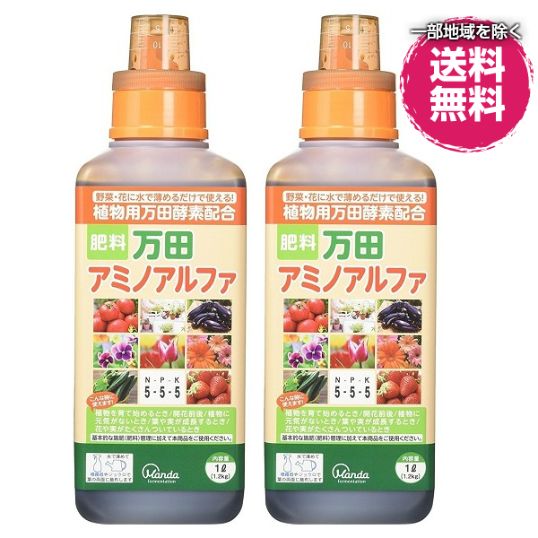 若者の大愛商品 セット販売 800ml コスモ誠和 ハイパー5000 フレンド ペンタキープ