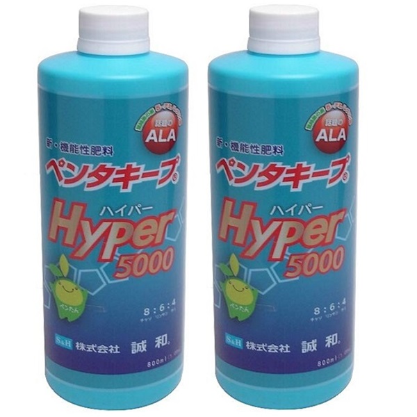 楽天市場】ペンタキープ ハイパー Hyper 5000 800ml (1.05kg