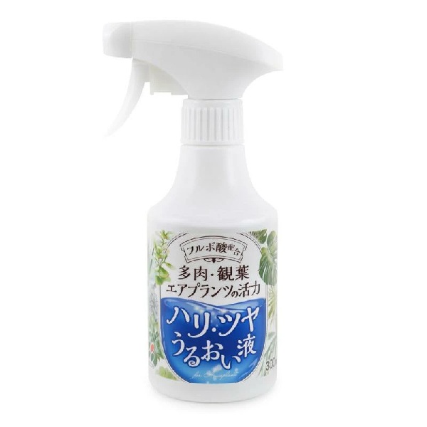 楽天市場】【お買い得】サボテンの骨 3個セット【カクタス