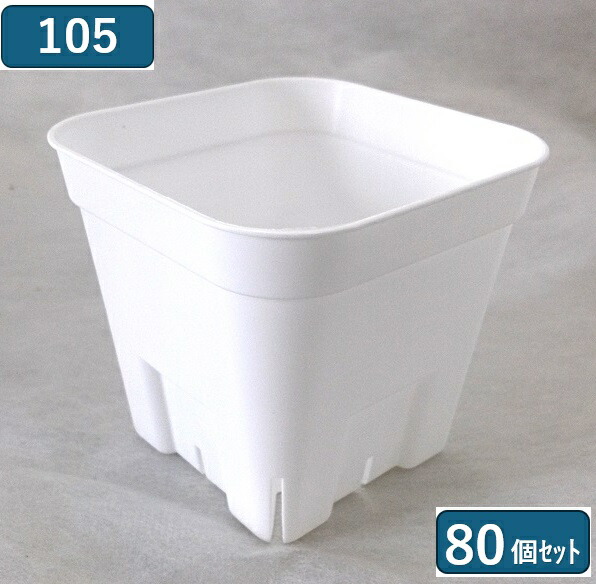 楽天市場】プレステラ105（76個セット）3号 プラ鉢 プラスチック