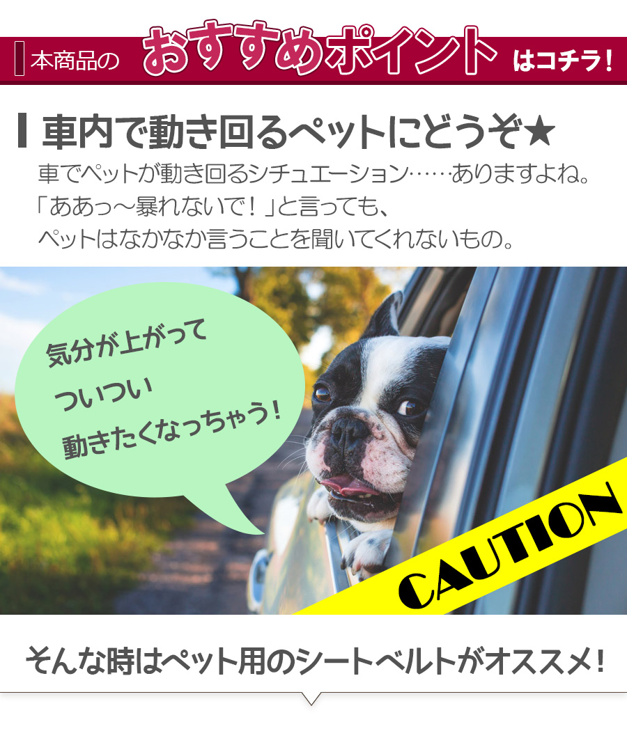 楽天市場 メール便送料無料 即納 ペット用 シートベルト 汎用長さ調整可 犬用 ドライブ 車専用リード 安全 安心 お出かけ 犬 猫 小型犬 中型犬 大型犬 成犬 ワンちゃん 乗車用ベルト 安全ベルト ペットグッズ 犬用品 アウトドア カー用品 カーアクセサリー