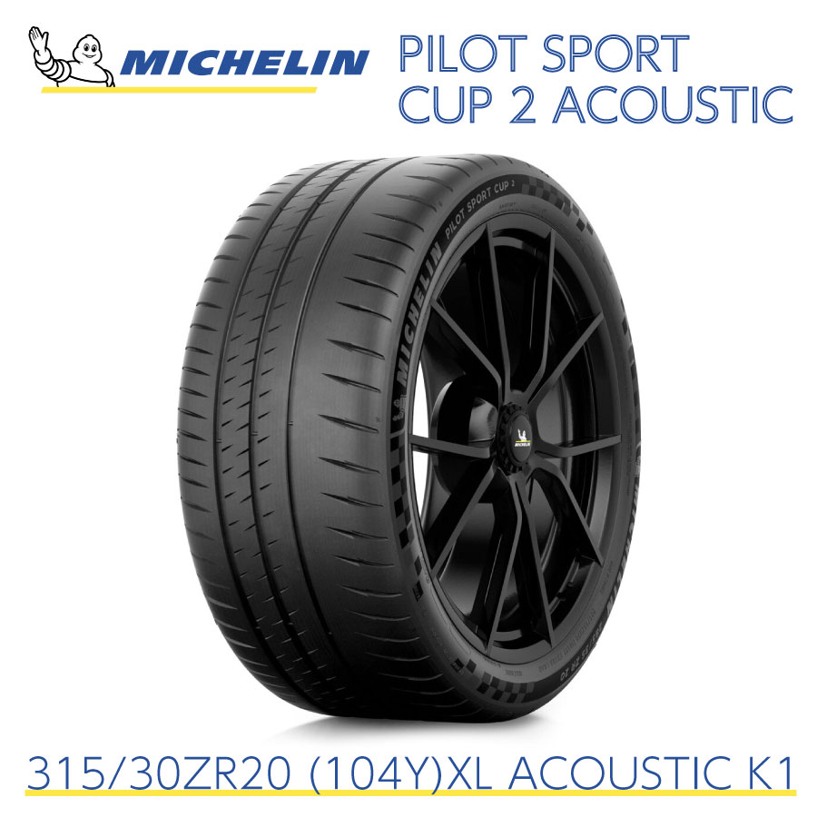 MICHELIN PILOT SPORT CUP2 255/35ZR20 中古 mt725560-1.jpg