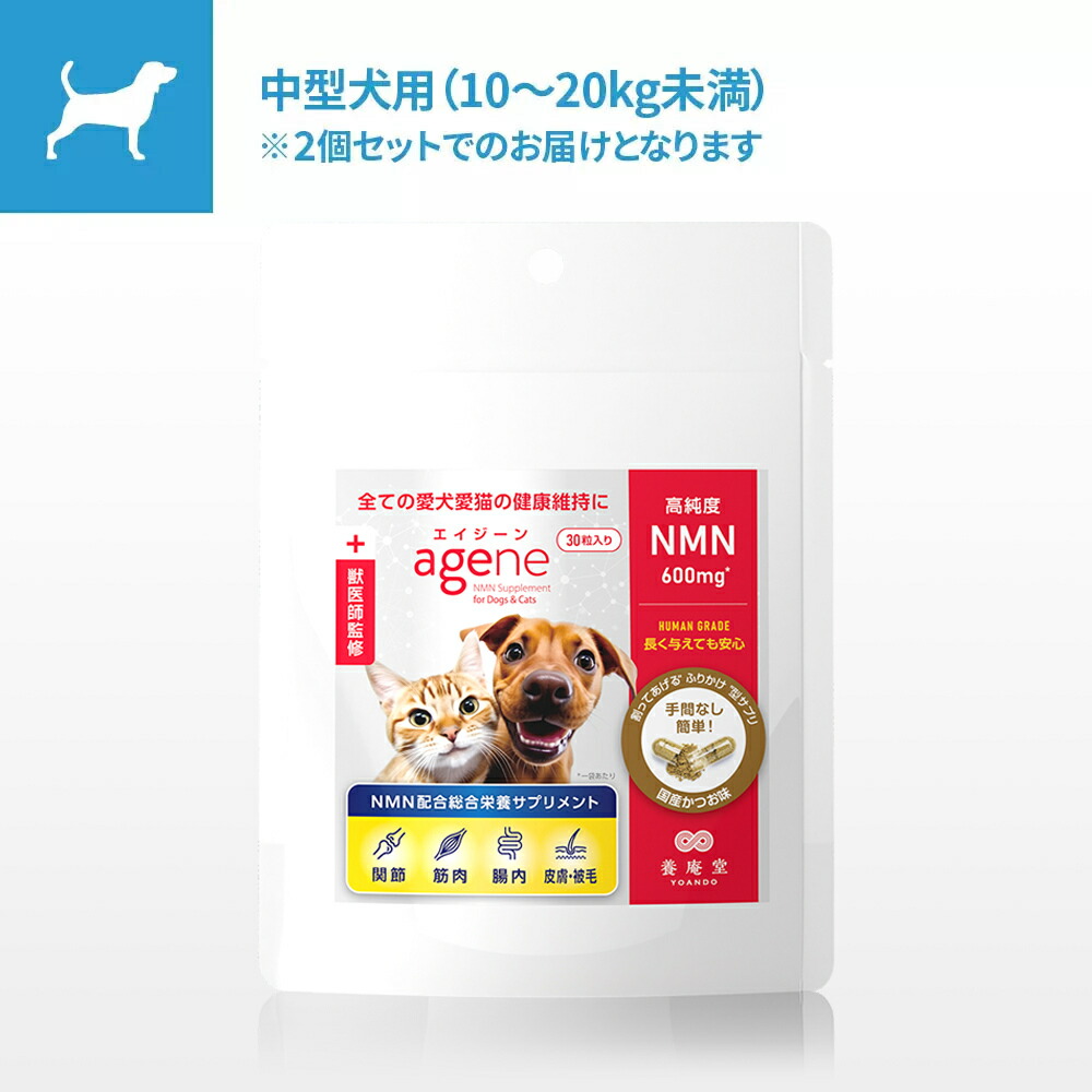 imgrc0084666620.jpg