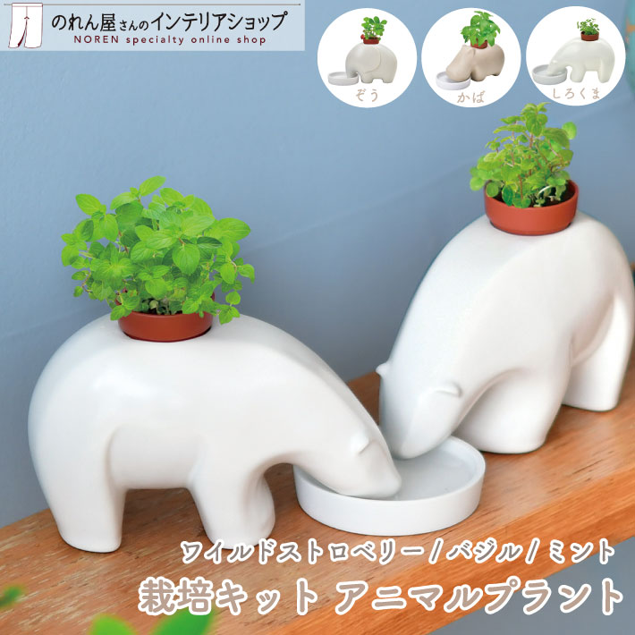 楽天市場】【SALE】【送料無料】エレプラント GD-955 eleplant ゾウ