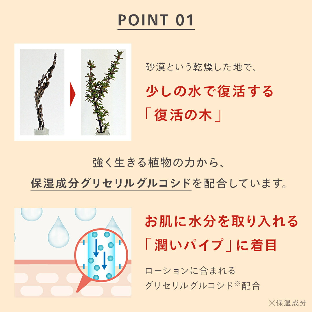 最大1000円OFF&SALE期間P最大10倍／【公式】 N organic Basic