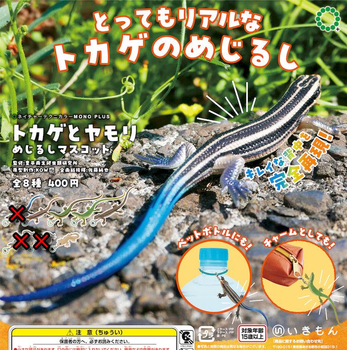 楽天市場】ネイチャーテクニカラーMONO トカゲ・ヤモリ マグネット