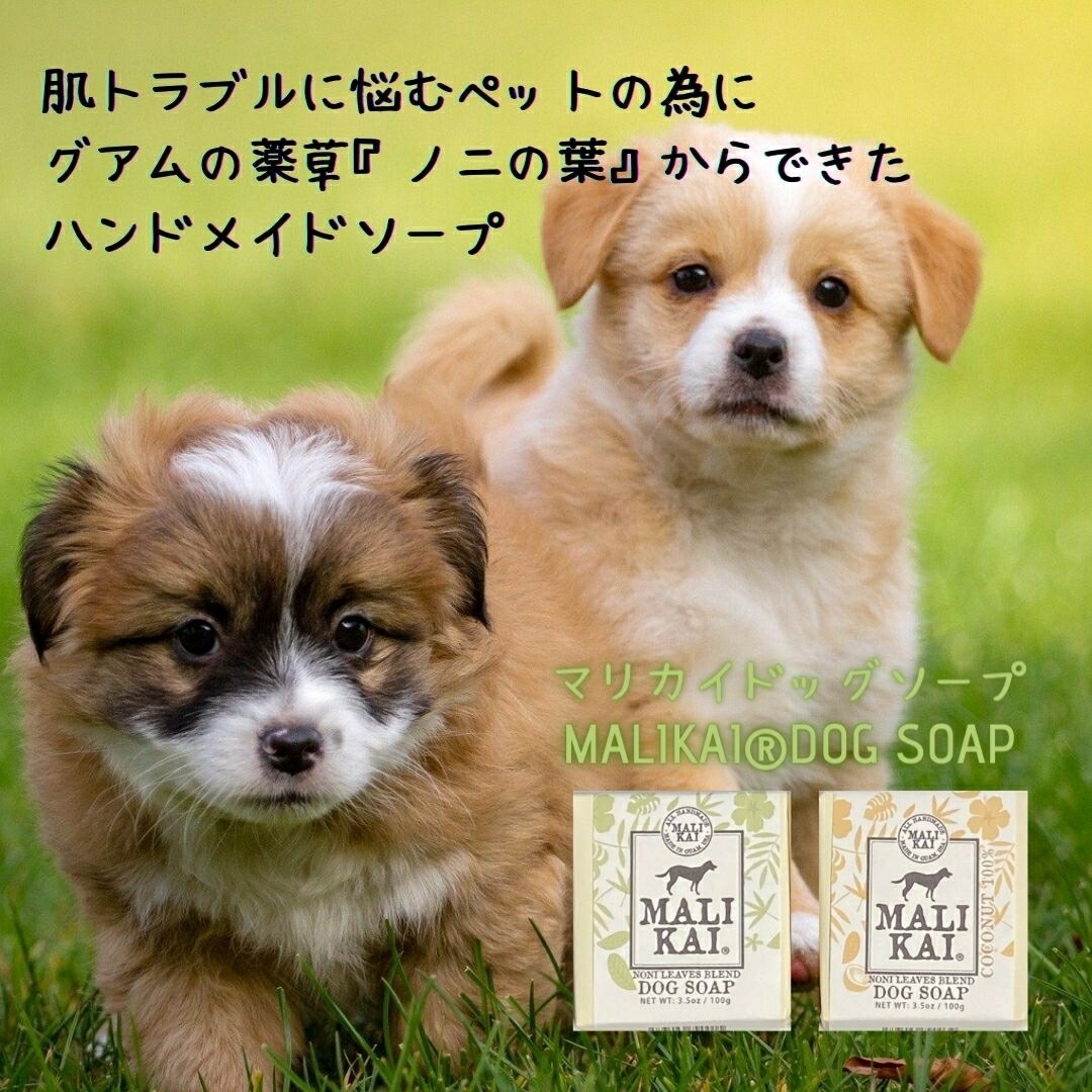 犬用石けん 手作り石けん 低刺激 ペット シャンプー ペット用シャンプー ペットシャンプー 犬用石鹸 固形石鹸 無添加 オーガニック 買取 犬用石けん 手作り石けん 低刺激 ペット シャンプー ペット用シャンプー ペットシャンプー 犬用石鹸 固形石鹸 無添加 オーガニック 買取