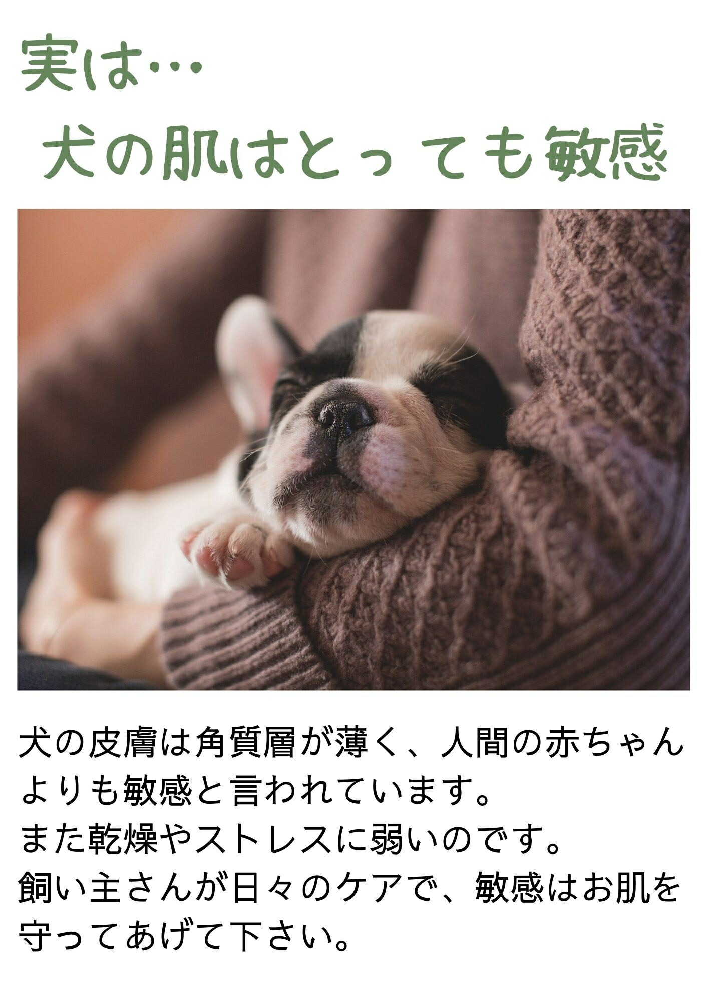 楽天市場 送料無料 Malikai Dog Soap マリカイ ドッグ ソープ 犬用石けん 手作り石けん 低刺激 ペット シャンプー ペット 用シャンプー ペットシャンプー 犬用石鹸 固形石鹸 無添加 オーガニック ビューティ ヘルス ミィチェ
