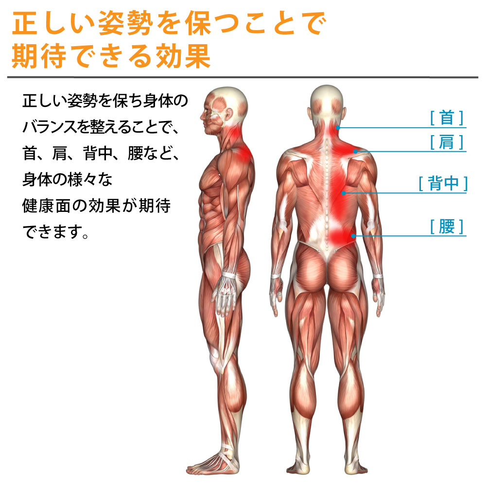 楽天市場 楽天1位 送料無料 ドクター背筋矯正サポーター 背筋矯正ベルト 着用時 猫背矯正ベルト 姿勢矯正ベルト 猫背ベルト 姿勢ベルト 姿勢サポーター 猫背サポーター 猫背 姿勢 矯正 グッズ 改善 猫背改善 肩こり 男性 女性 メンズ レディース デスクワーク