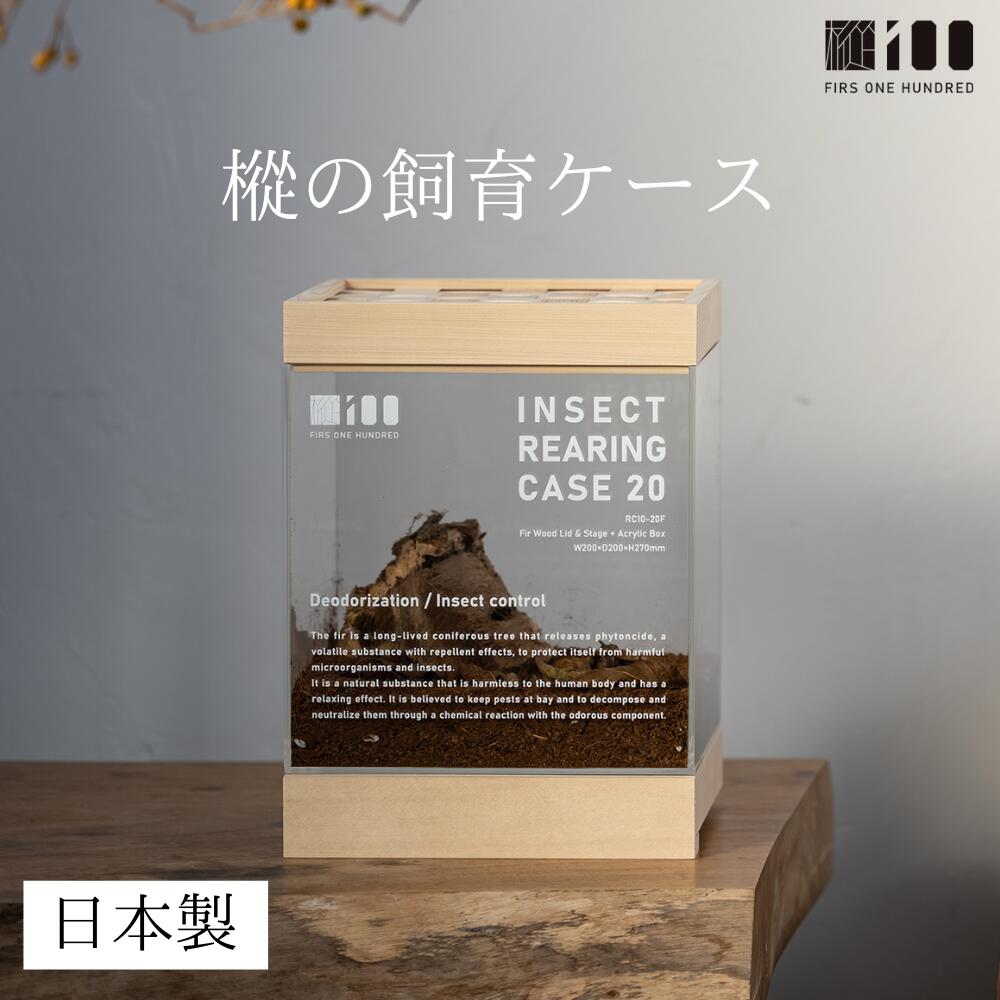 木彫り手作り　クワガタ置物　　　　2体セット 31f8ff00ec8e2d498bd4902339eda9