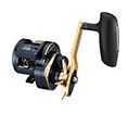 ダイワ DAIWA ソルティガIC 300HSJ 300HSJL|NorthCast