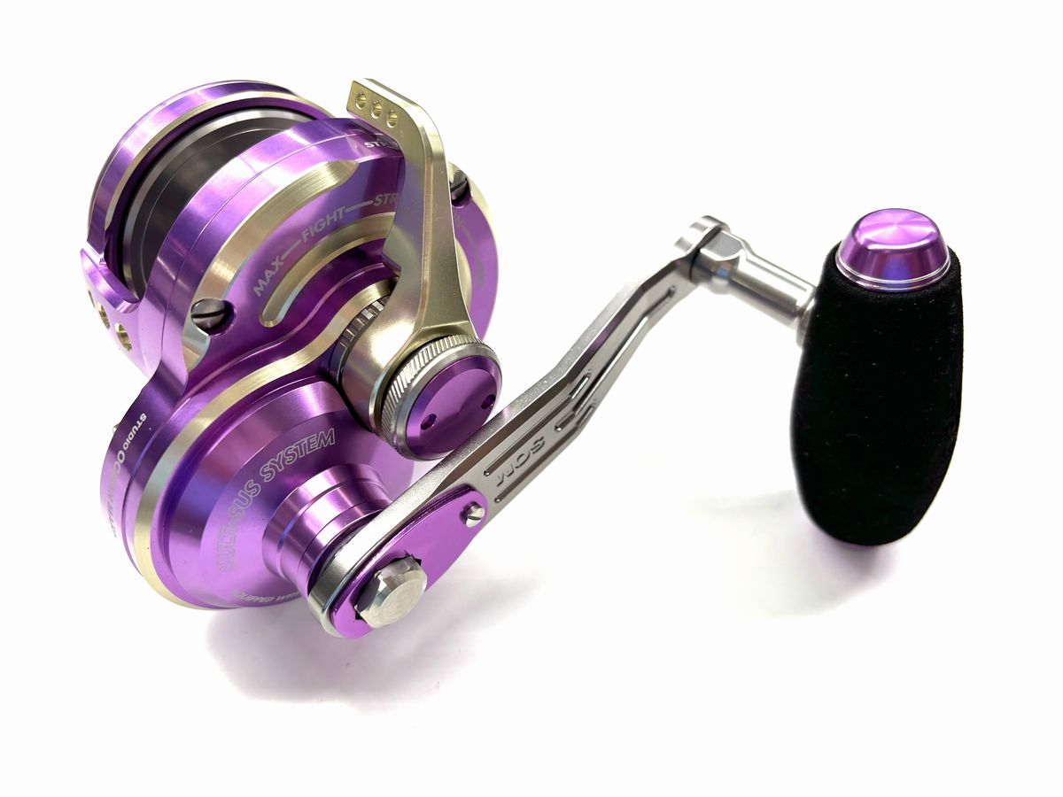 楽天市場】ブルーヘブンBHL50Pw CF Limited（22）スタジオオーシャン