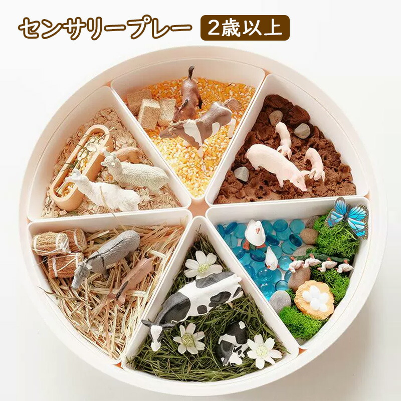 【最大2000OFF】センサリープレイ 子供 粘土おもちゃ 誕生日プレゼント プレゼント ギフト お祝い モンテッソーリ プレイドー 五感 知育玩具 ごっこ遊び 木製おもちゃ 指先 感触 感覚 知覚 男の子 女の子 指先の知育