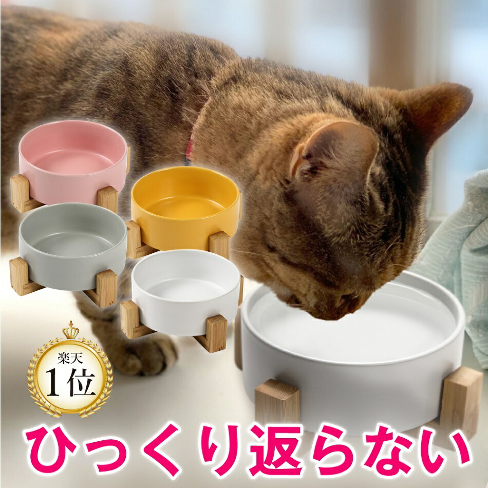 倒れない陶器の水皿