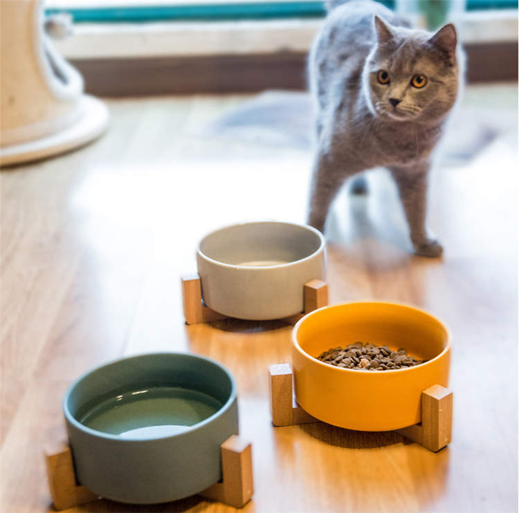 楽天市場 フードボウル ペット用 猫 ネコ 犬 陶器 食器 エサ入れ 動物 お皿 餌入れ 水入れ ペット皿 食台 容器 スタンド ゆっくり食べる シンプル Cw013 Deerlet ディアレット