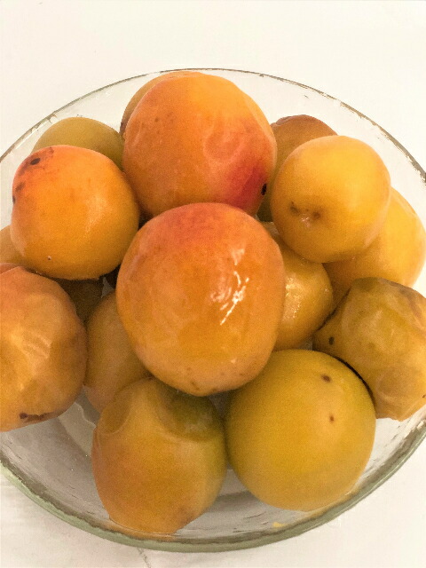 楽天市場】冷凍南高梅または、古城梅（和歌山産）冷凍梅 2ｋｇ 500ｇ×4 【消費税込み】2022年収穫 和歌山産の完熟南高梅、古城梅 を冷凍加工しま した。 : NORUCAマーケット