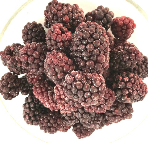 【KIMONO FRUITS】冷凍ブラックベリー　5000ｇ（1000ｇ×5）<br>栄養価の高いブラックベリーは、ポリフェノールやアントシアニンがいっぱい。