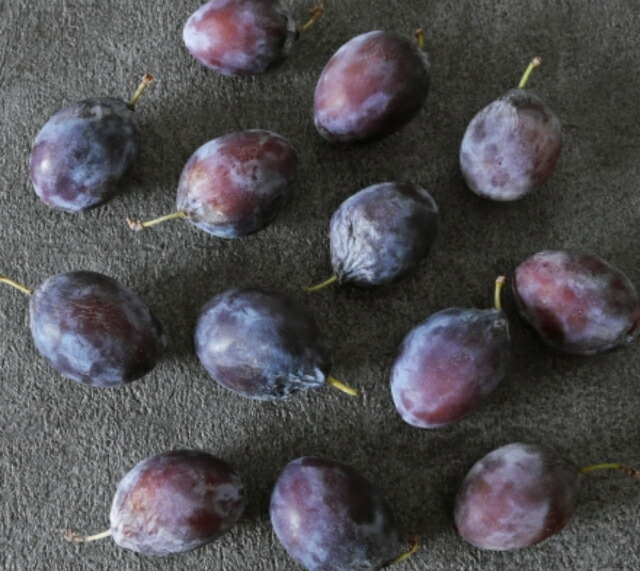 【KIMONO FRUITS】冷凍プルーン（長野産）3ｋｇ（1000ｇ×3）<br>国産冷凍プルーン