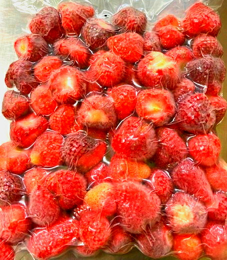 【KIMONO FRUITS】冷凍有機いちご　2ｋｇ（１０００ｇ×２）<br>冷凍ストロベリー（トルコ産）オーガニックいちご<br>有機栽培、オーガニック　いちごを<br>真空冷凍加工しました。有機栽培いちごの旨みがいっぱい。