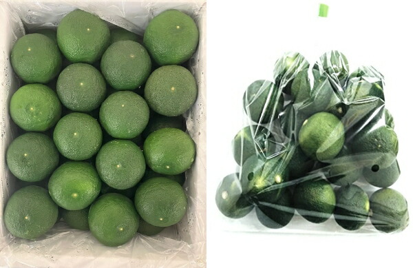 徳島産すだち　酢橘　1kg/箱　２０２５年（徳島産）【送料無料、消費税込み】<br>　Lから３Lサイズ　地元　徳島より新鮮な酢橘をお届けします。<br>ケンミンSHOW　ケンミンショー