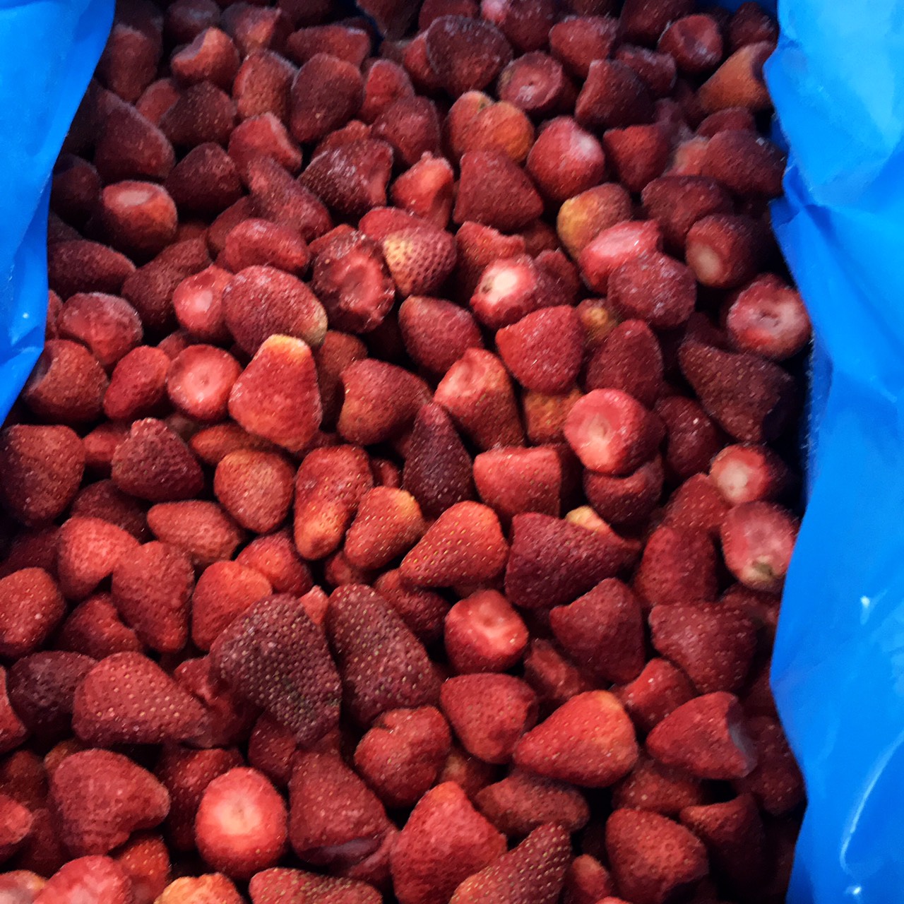 【KIMONO FRUITS】訳あり　B品　冷凍いちご　5kg（1000ｇ×5）<br>（メキシコ産または、ペルー産）冷凍いちご　冷凍ストロベリー