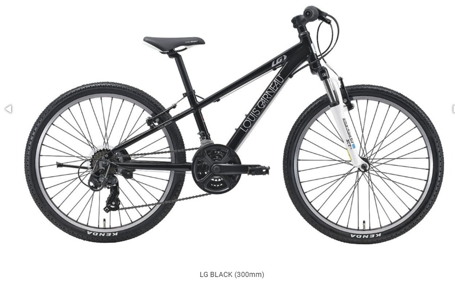 ルイガノ子供用自転車22インチ　横浜市内引渡し ルイガノ子供用自転車22インチ 横浜市内引渡し