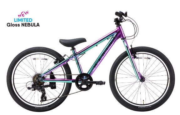 2026年モデル MARIN DONKY Jr.22 6S LIMITEDCOLOR マリン ドンキージュニア リミテッドカラー|自転車 ノースタイル