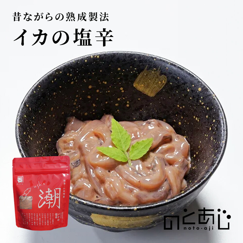 ＼4/17まで★最大1,000円OFF！／ カネイシ いかの塩辛 120g 塩辛 いか イカ 国産 おつまみ ごはん 惣菜 珍味 ご当地 お土産 ギフト お取り寄せ 石川県 能登 町
