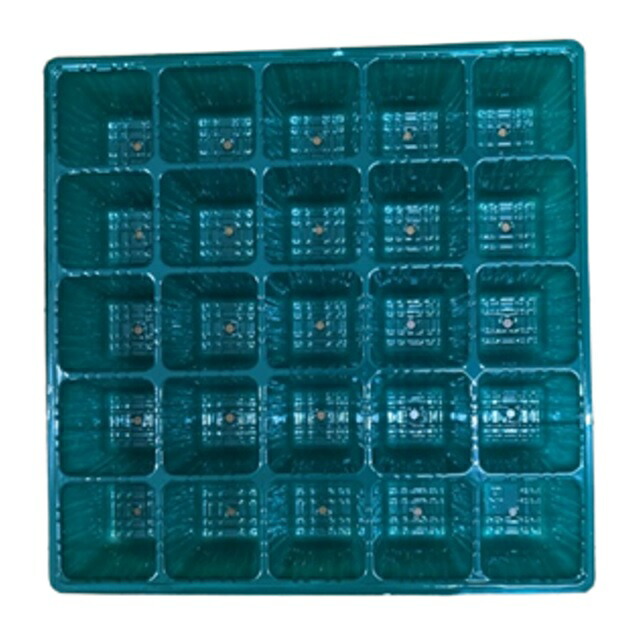 中古品　すくすくトレイ35穴　１００枚 中古品 すくすくトレイ35穴 100枚 楽天市場】すくすくトレイ35穴用