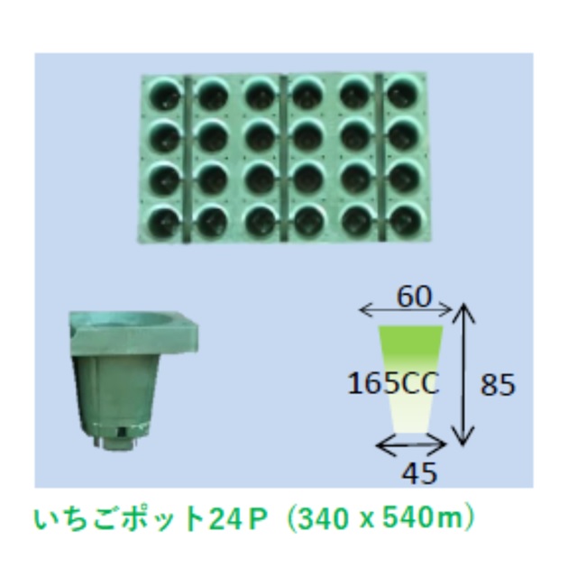 エントリーで尖んがり5倍!! いちごポット24Ｐ 10枚入り口・入口