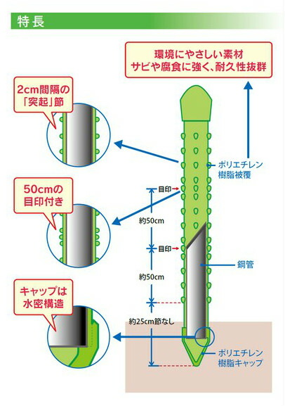 径mm 長さ210cm 鋼管竹 タキロン 園芸支柱 野菜 園芸用支柱 突起節 園芸用 農業用 水密キャップ 50本セット 菊 野菜 目印 畑 農業資材 花 庭 園芸用品 家庭菜園 トマト キュウリ ピーマン 菊 ぶどう つる 農業 水密キャップ 野菜 作物 ビニールハウス ビニール