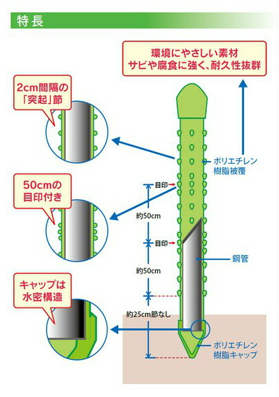 径mm 長さ210cm 鋼管竹 タキロン 園芸支柱 野菜 園芸用支柱 突起節 園芸用 農業用 水密キャップ 50本セット 菊 野菜 目印 畑 農業資材 花 庭 園芸用品 家庭菜園 トマト キュウリ ピーマン 菊 ぶどう つる 農業 水密キャップ 野菜 作物 ビニールハウス ビニール 径mm 長さ210cm 鋼管竹 タキロン 園芸支柱 野菜 園芸用支柱 突起節 園芸用 農業用 水密キャップ 50本セット 菊 野菜 目印 畑 農業資材 花 庭 園芸用品 家庭菜園 トマト キュウリ ピーマン 菊 ぶどう つる 農業 水密キャップ 野菜 作物 ビニールハウス ビニール