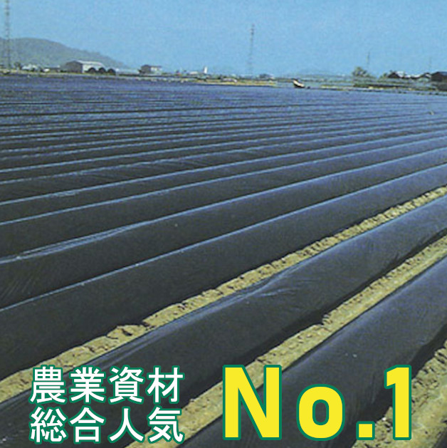 楽天市場 黒マルチ 厚さ0 02mm 幅150cm 長さ0m 3本セット 直送品 農業用マルチ 防草 シート 農業 マルチング 農業資材 家庭菜園 園芸用品 雑草対策 マルチ 農業マルチ 畑 雑草防止 国産 肥料流亡 耐候性 耐熱性 被覆資材 マルチングシート 防草用品 防草グッズ 園芸