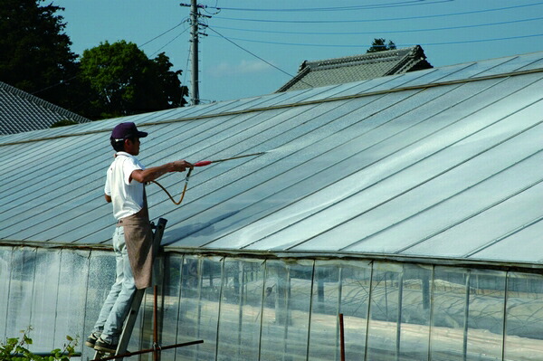 エクリプス kg 農業 ガーデニング 園芸 偏光 農業資材 ビニールハウス 塗布 Ph中性15l 遮光塗布剤 ハウス 日本農業システム 遮光率 低コスト 透明度 遮光 長期間遮光 薬 石灰粒子 長期保管 採光率 作物焼け対策 塗料 直接散布 農業用 温度管理 園芸用品 家庭菜園 園芸