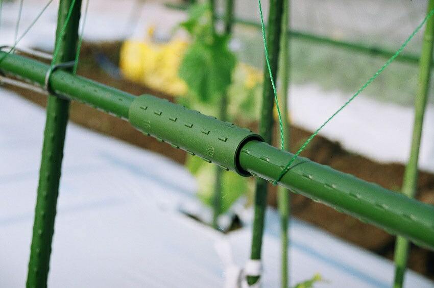 楽天市場 セキスイ 継っこ 16mm用 6個入 道具 ガーデニング用品 農業用資材 イボ竹 いぼ竹 ジョイント アーチ支柱 接続部材 部品 野菜づくり トンネル栽培 ガーデン用品 ガーデニング グッズ 園芸 支柱 園芸用支柱 園芸支柱 園芸用品 農業資材 農業用 家庭菜園