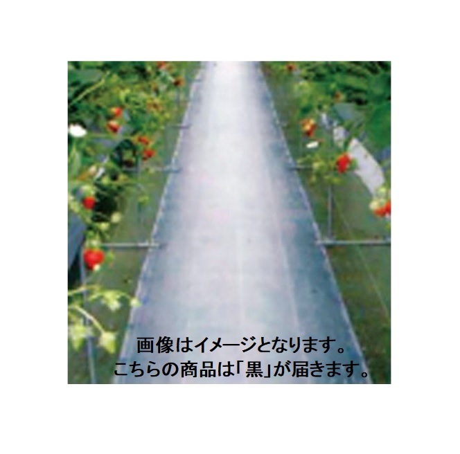 グランドシート抗菌剤入 黒 長さ100m&times;幅200cm 遮光性が高く、防草効果抜群の防草シート 直送品 (防草シート 雑草防止シート 雑草シート 庭 雑草対策 農業資材 園芸用品 農業用品 ガーデニング 園芸資材 カビ防止 ぬかるみ防止 ブラック シート 除草 除草シート 防草)｜日本農業システム店