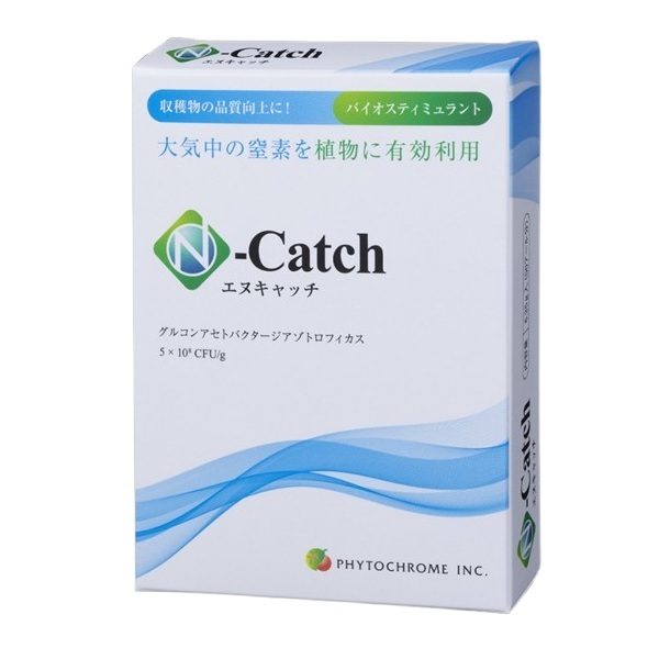 エントリーで尖んがり5倍!! Nつかみ取る 6.25g(50アール分）